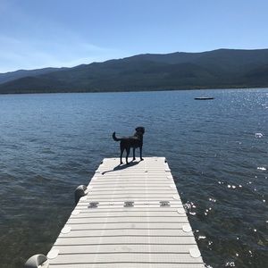 Meet your Posher, Travis